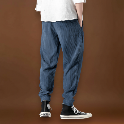 Jitsu - Calças de veludo às riscas Azul